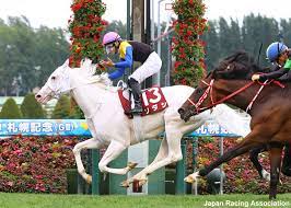 SODASHI - Race Horse